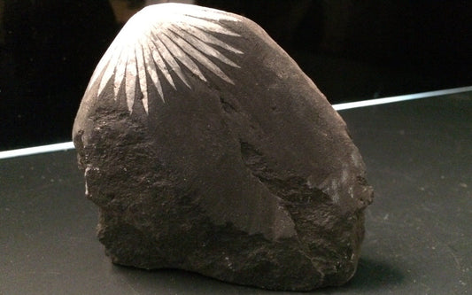 Chrysanthemum stone 1 - China | Of Coins & Crystals