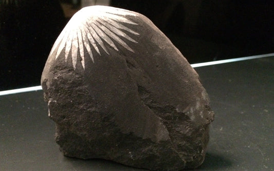 Chrysanthemum stone 1 - China | Of Coins & Crystals